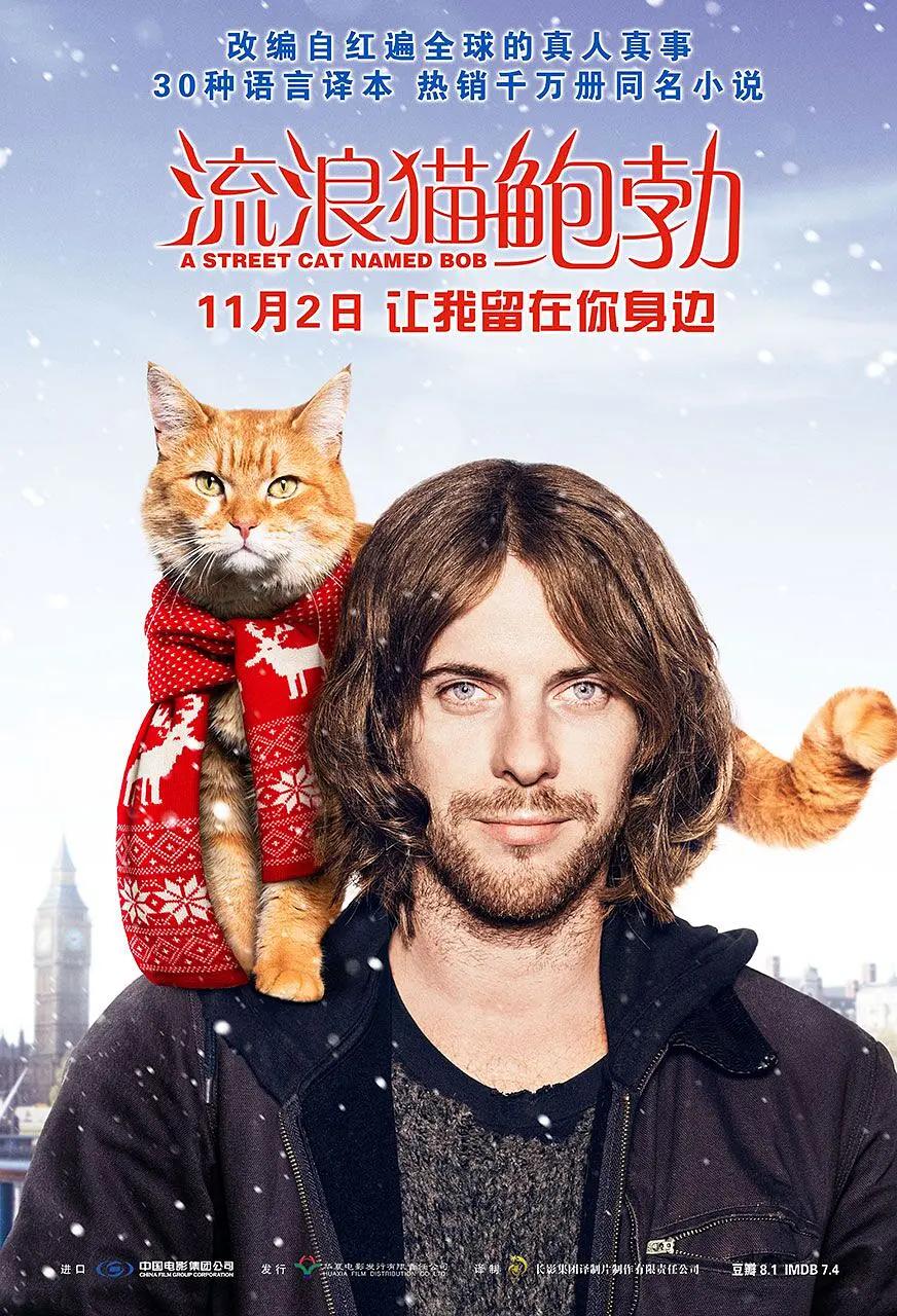 911看成品人视频(🎄)