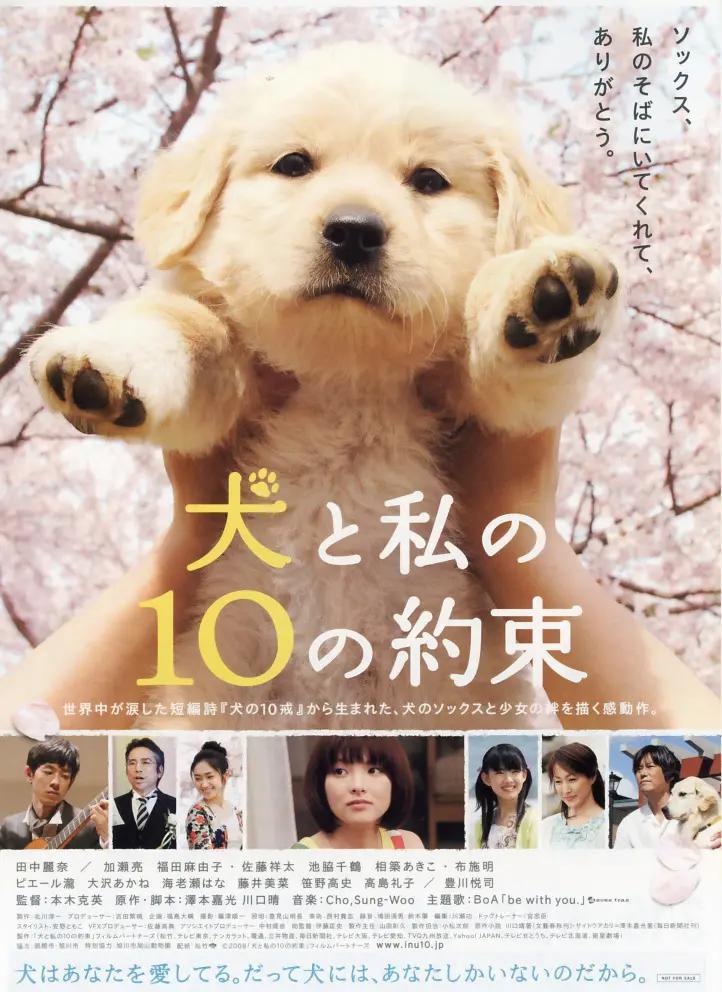欧美暴力 深喉(🐩)