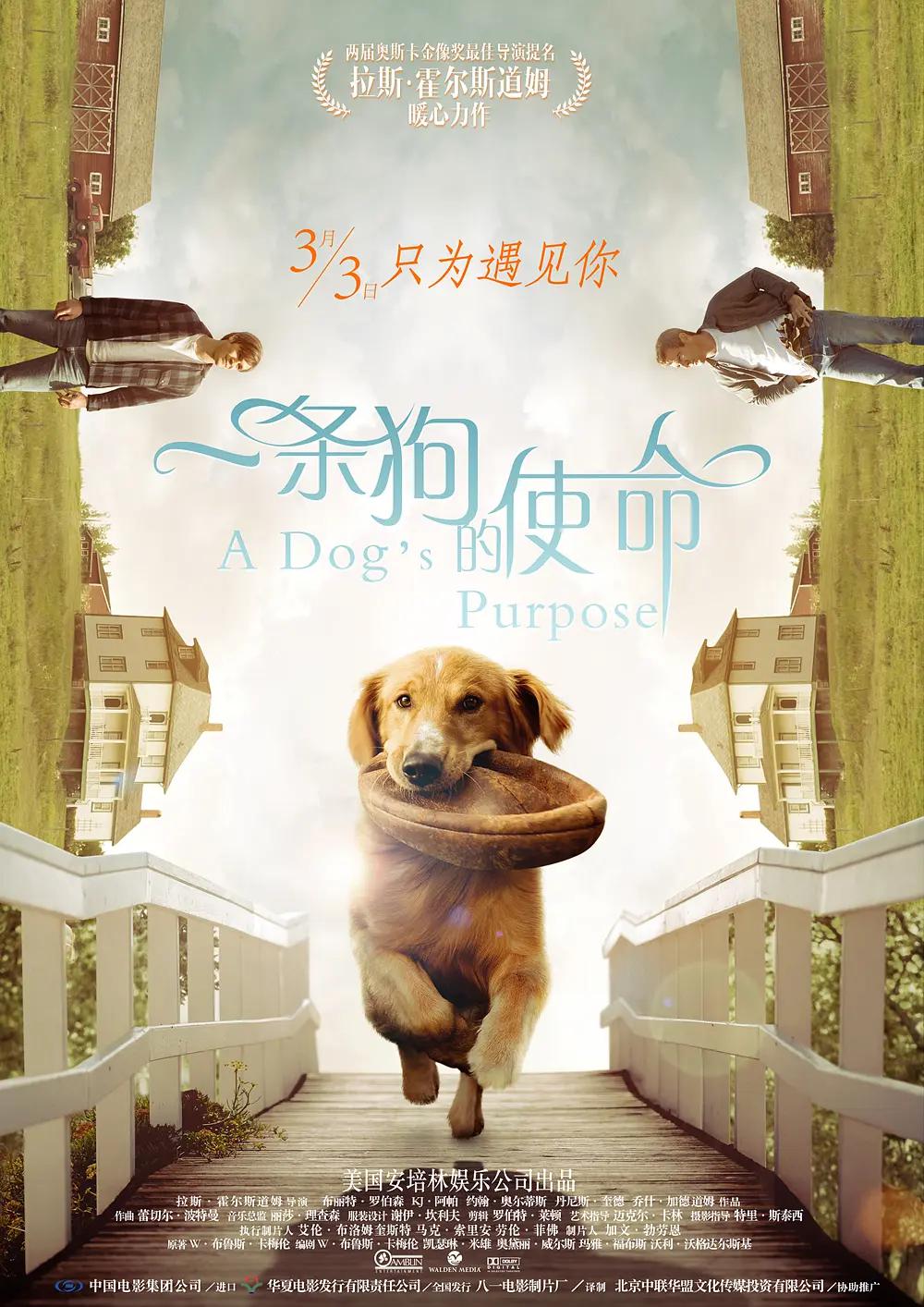 国产嫩草视频在线播放(🥕)