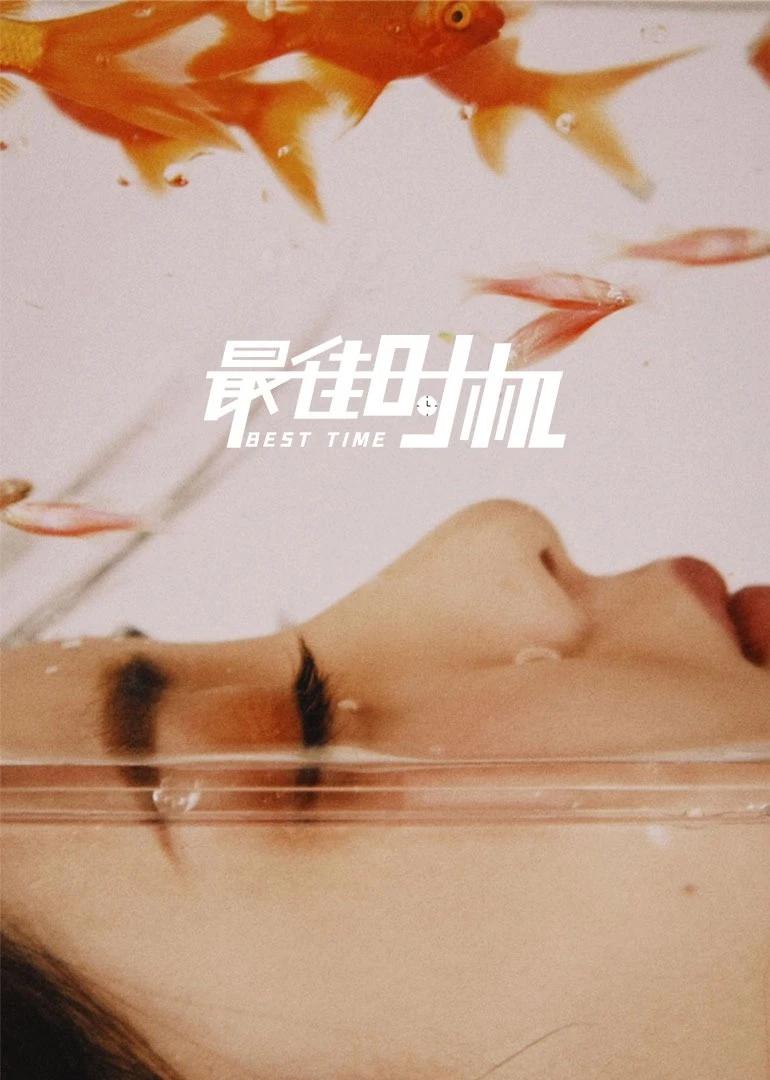 在线观看你懂的网站(🦌)